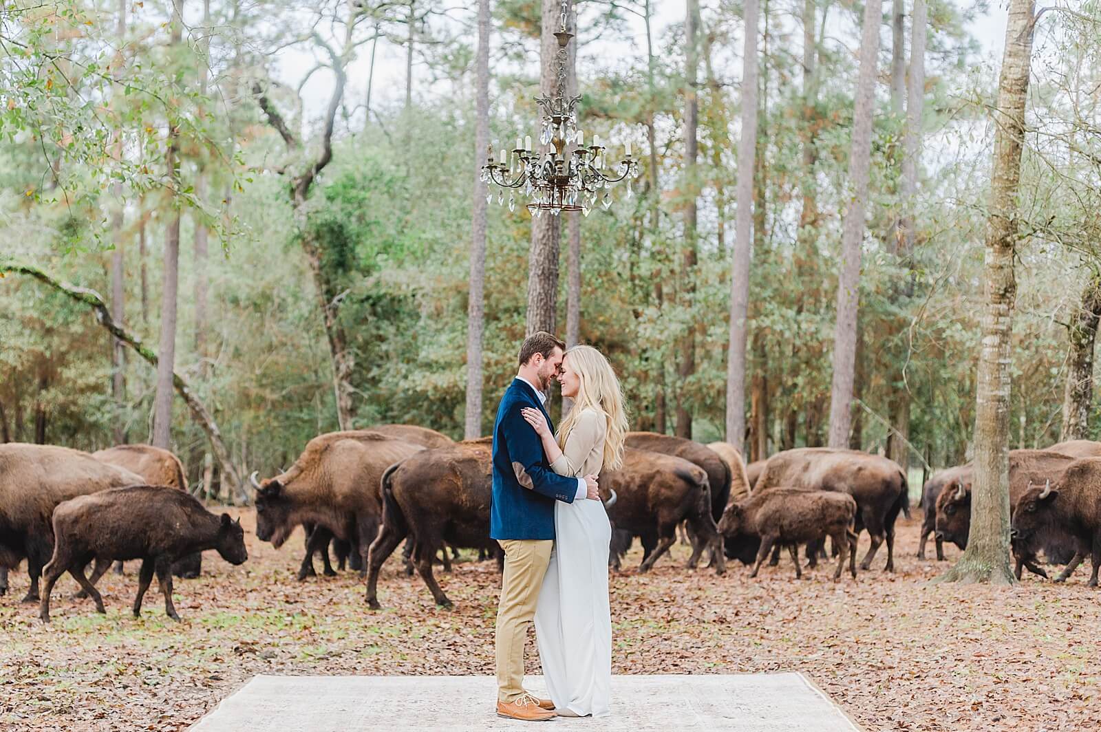 Buffalo walking behind engaged couple under chandelier at The Annex wedding venue